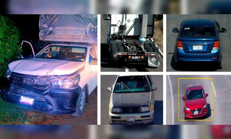 C5i, videovigilancia, vehículos robados, detenidos