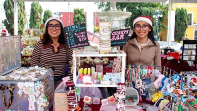 Mercadito de las Juventudes, Gobierno de la Ciudad, Instituto de la Juventud del Municipio de Puebla