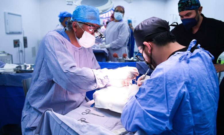 Puebla, donación de órganos, trasplantes, referente nacional