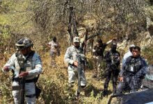 Gobierno de Puebla, búsqueda, Nemecio Herrera, inspector, Agua Dulce, Tilapa