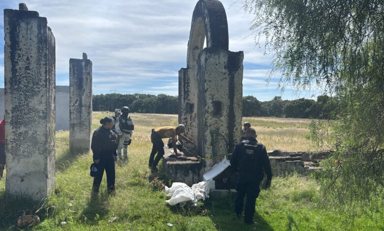 Comisión de Búsqueda de Personas, Puebla, Guillermo Raúl López Escobedo, operativos