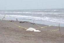 ahogados, Costa Esmeralda, Veracruz, Teziutlán, Puebla