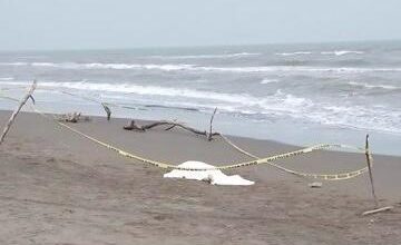 ahogados, Costa Esmeralda, Veracruz, Teziutlán, Puebla