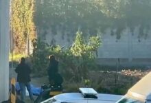 ejecutados, levantados, Mercado Morelos, San Aparicio, embolsados, FGE, investigaciones, comando armado, levantón