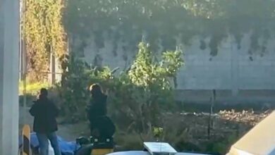 ejecutados, levantados, Mercado Morelos, San Aparicio, embolsados, FGE, investigaciones, comando armado, levantón