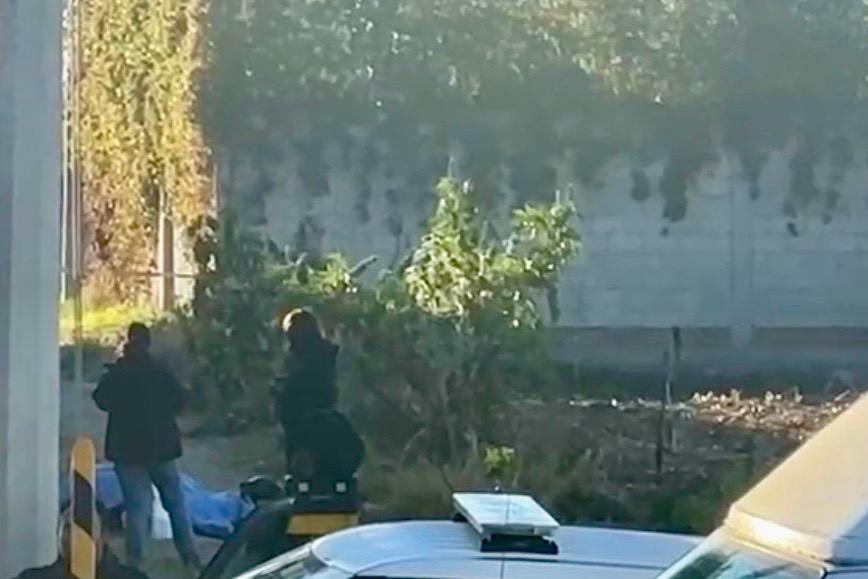 ejecutados, levantados, Mercado Morelos, San Aparicio, embolsados, FGE, investigaciones, comando armado, levantón