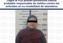 delitos contra los animales, detenida, FGE, prisión, Romero Vargas