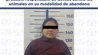delitos contra los animales, detenida, FGE, prisión, Romero Vargas