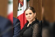 Coparmex Puebla, Beatriz Camacho, seguridad pública