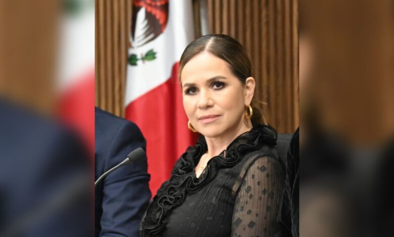 Coparmex Puebla, Beatriz Camacho, seguridad pública