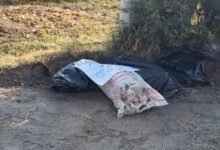 embolsados, El Verde, San Lucas El Grande, Tlahuapan, venta de droga, FGE, investigaciones, desaparecidos