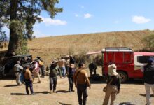 Gobierno de Puebla, efectividad, Búsqueda de Personas