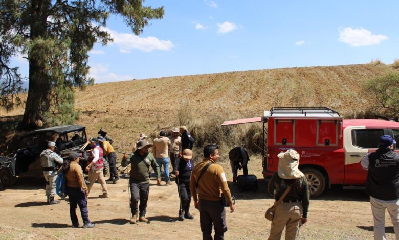 Gobierno de Puebla, efectividad, Búsqueda de Personas