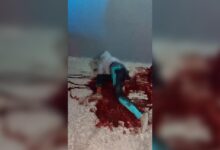 feminicidio, Los Gavilanes, Camino a Xilotzingo, SSC, FGE, investigaciones, apuñalada