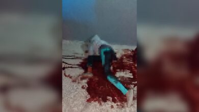 feminicidio, Los Gavilanes, Camino a Xilotzingo, SSC, FGE, investigaciones, apuñalada