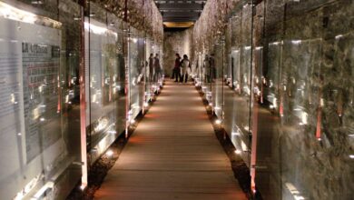 Gobierno de la Ciudad, Puente de Bubas, Pasaje Histórico 5 de Mayo, mantenimiento, Pepe Chedraui