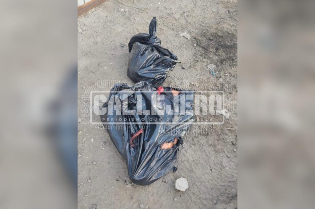 San Martín Texmelucan, San Juan Tuxco, El Verde, embolsado, restos humanos, ejecutados, FGE