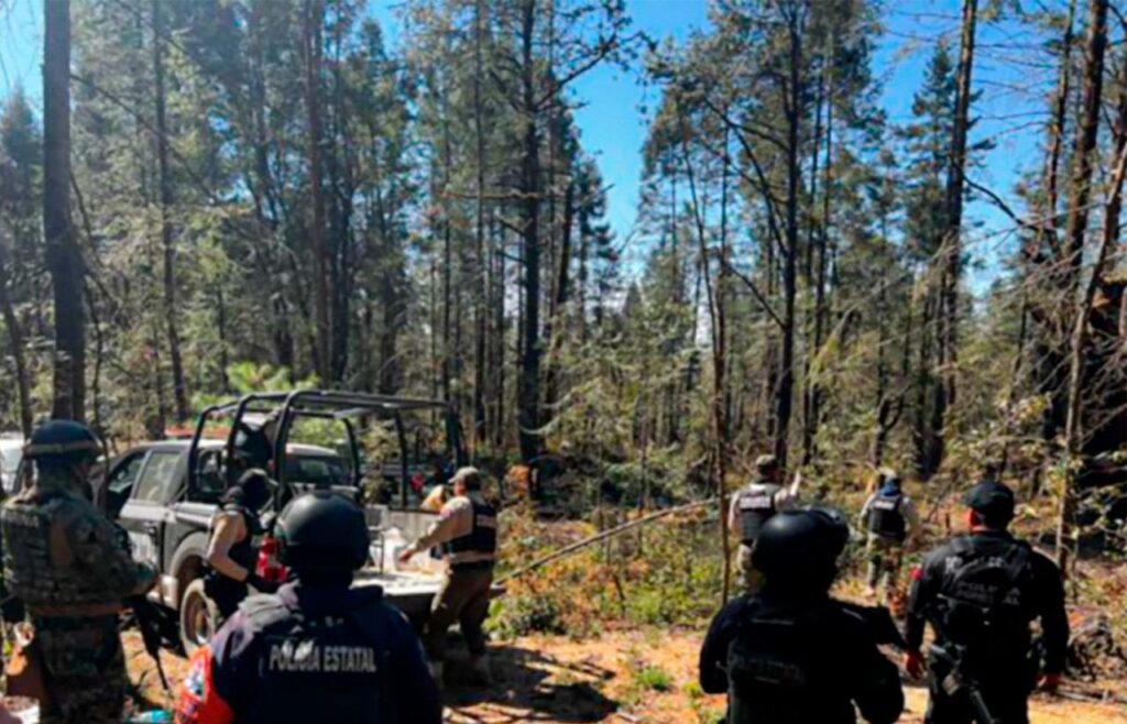 operativo, troncos de madera, aseguramiento, tala clandestina, SSP, Puebla, Tlaxcala