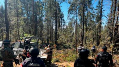 operativo, troncos de madera, aseguramiento, tala clandestina, SSP, Puebla, Tlaxcala