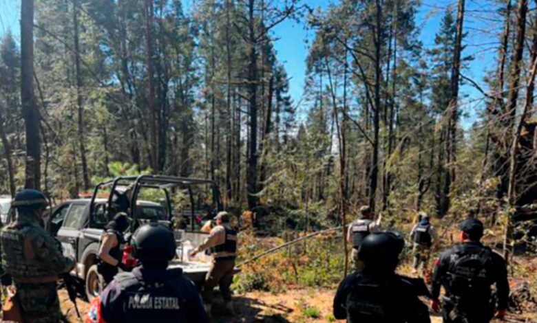operativo, troncos de madera, aseguramiento, tala clandestina, SSP, Puebla, Tlaxcala