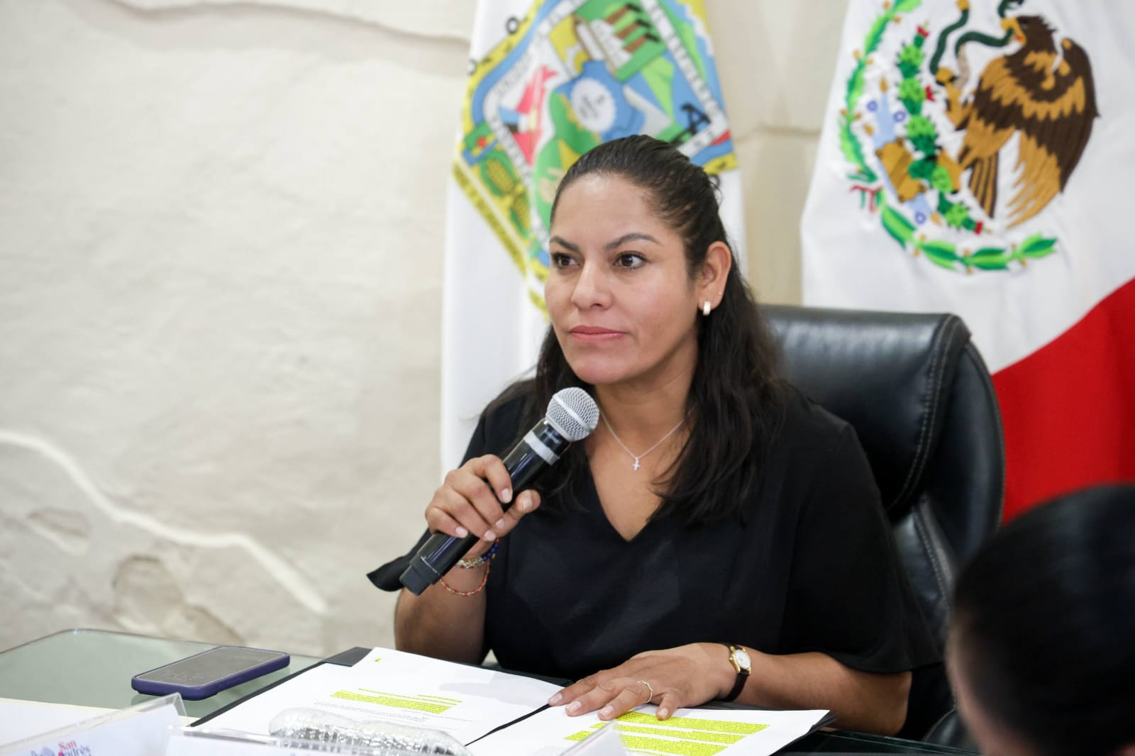 dictamen, Ayuntamiento, Medio Ambiente, Centro Histórico