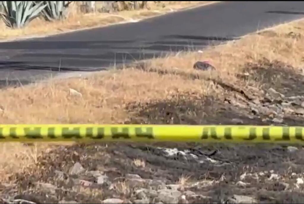 desmembrado, Valsequillo, Guadalupe Victoria, embolsado, SSC, SSP, FGE