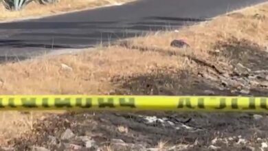 desmembrado, Valsequillo, Guadalupe Victoria, embolsado, SSC, SSP, FGE