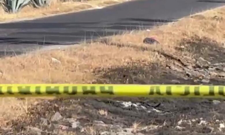 desmembrado, Valsequillo, Guadalupe Victoria, embolsado, SSC, SSP, FGE