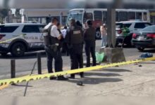 atropellado, Diagonal Defensores de la República, China Poblana, Tránsito Municipal