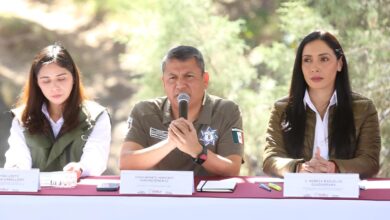 SSP, detenciones, droga, armas, cartuchos, Puebla Segura