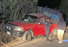 emboscada, ejecutados, productores de aguacate, Tochimilco, Alpanocan, Morelos, FGE, investigaciones