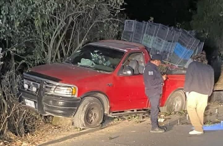 emboscada, ejecutados, productores de aguacate, Tochimilco, Alpanocan, Morelos, FGE, investigaciones