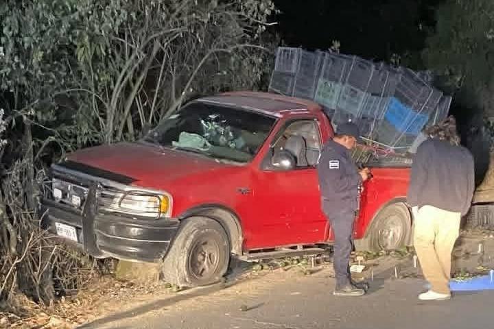 emboscada, ejecutados, productores de aguacate, Tochimilco, Alpanocan, Morelos, FGE, investigaciones