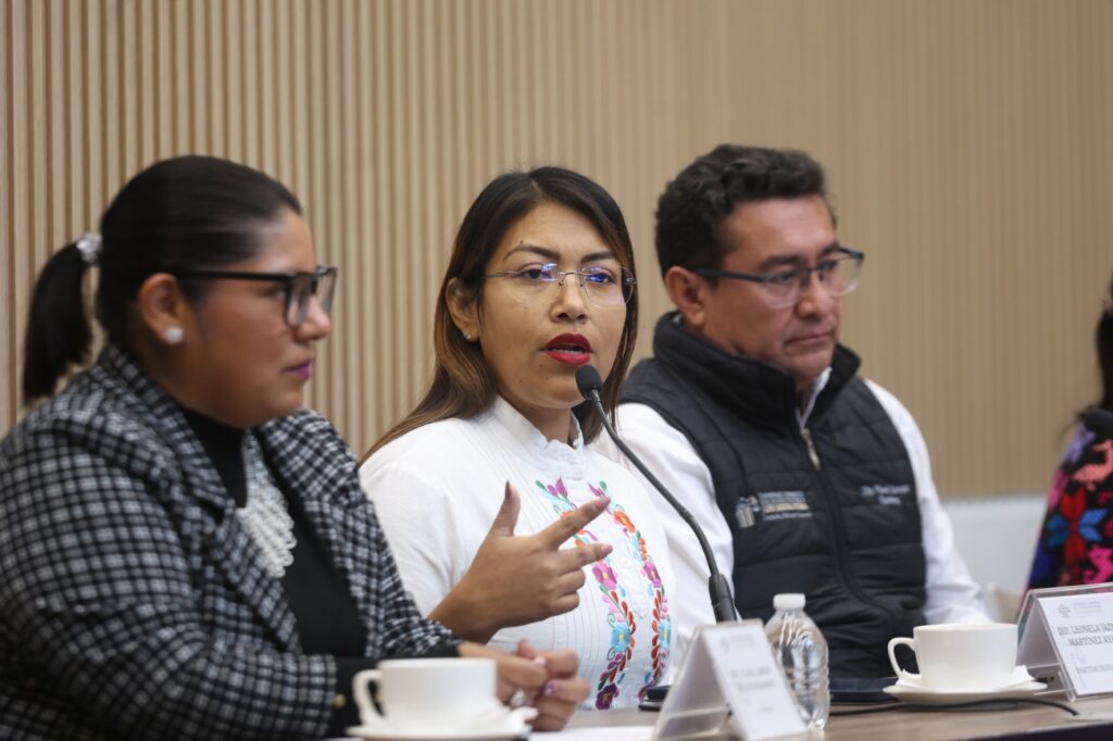 diputada Leonela Martínez, predio, gasolinería clausurada, Tepanco de López