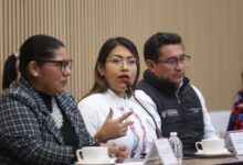 diputada Leonela Martínez, predio, gasolinería clausurada, Tepanco de López