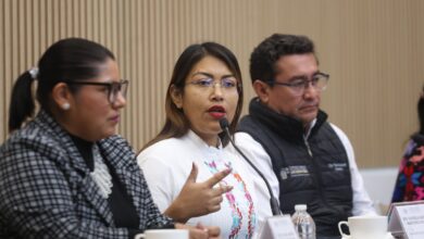 diputada Leonela Martínez, predio, gasolinería clausurada, Tepanco de López