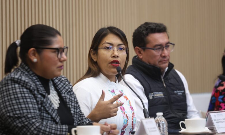 diputada Leonela Martínez, predio, gasolinería clausurada, Tepanco de López
