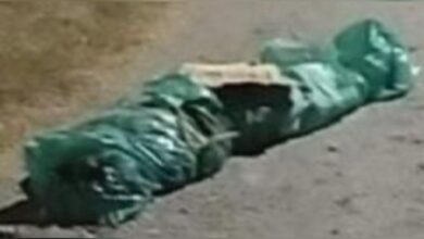 embolsado, Chietla, San Miguel La Toma, FGE, investigaciones