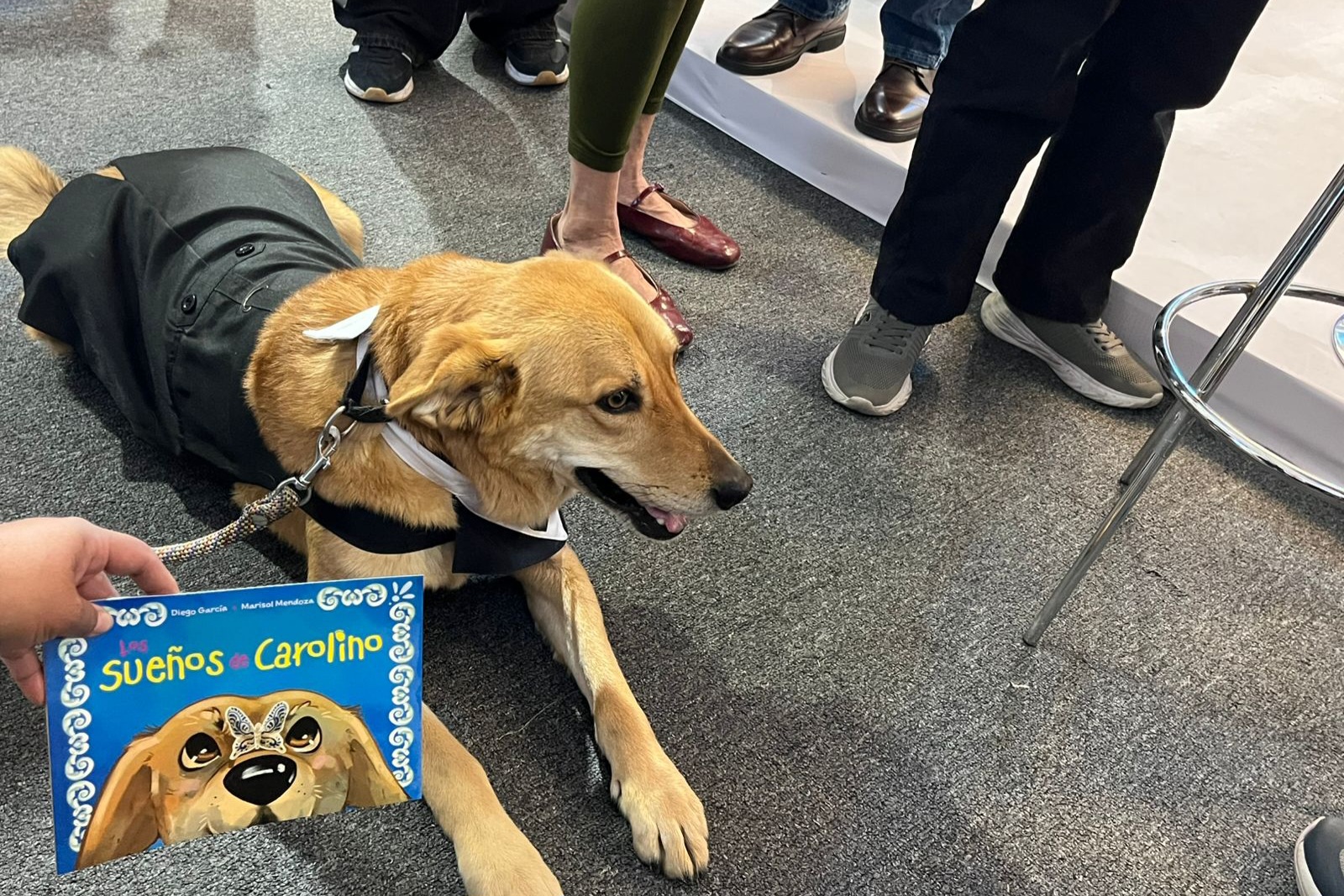 dictamen, Ayuntamiento, Medio Ambiente, Centro Histórico