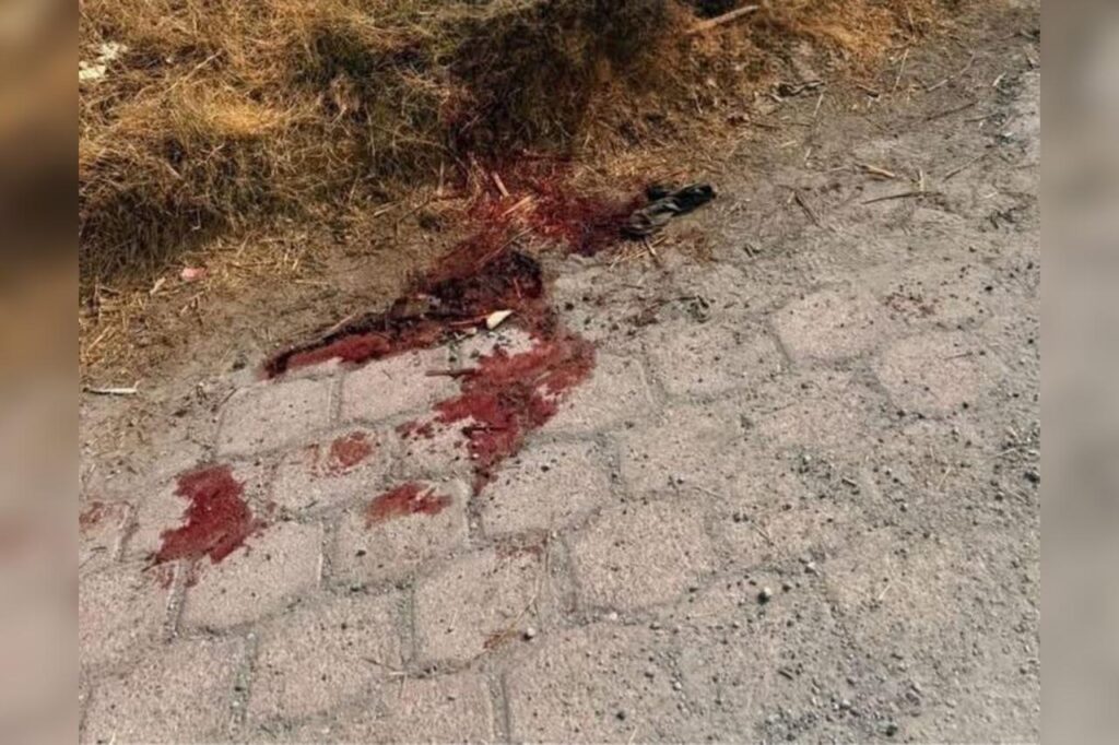 ataque, albañil, baleado, San José Chiapa, FGE, investigaciones