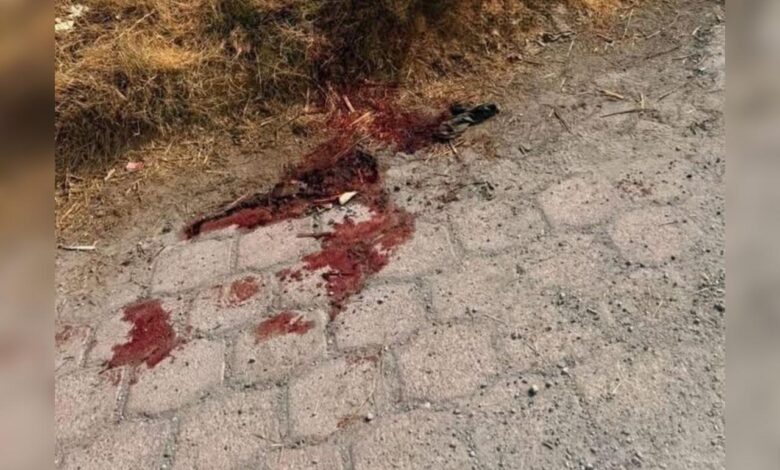 ataque, albañil, baleado, San José Chiapa, FGE, investigaciones