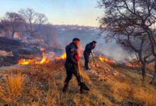 incendios, pastizales, Puebla capital, Los Fuertes, Totimehuacán, Bomberos, SSP