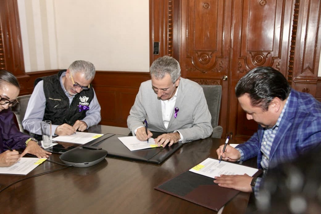 dictamen, Ayuntamiento, Medio Ambiente, Centro Histórico