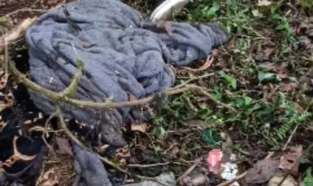 puente Totolapa, Sierra Norte, México-Tuxpan, FGE, encobijado