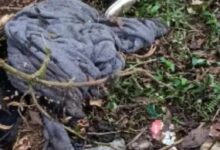 puente Totolapa, Sierra Norte, México-Tuxpan, FGE, encobijado