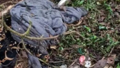 puente Totolapa, Sierra Norte, México-Tuxpan, FGE, encobijado