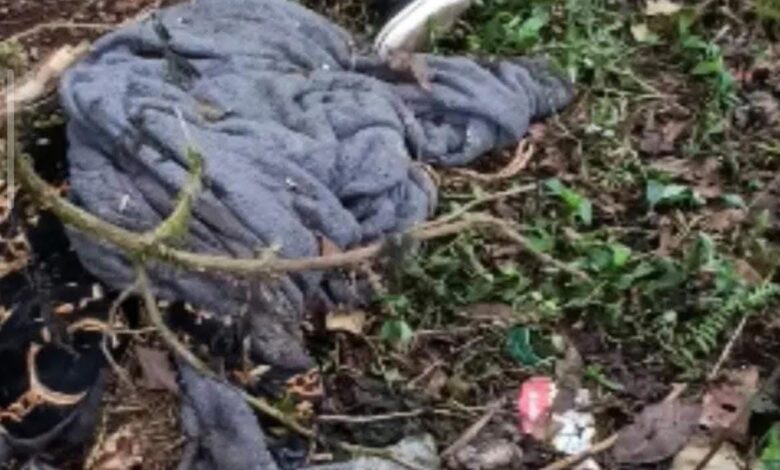 puente Totolapa, Sierra Norte, México-Tuxpan, FGE, encobijado