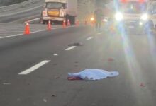 atropellado, Capufe, Guardia Nacional, autopista Puebla-Orizaba