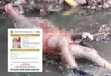 Oscar García, desaparecido, río Atoyac, San Lucas Atoyatenco, San Martín Texmelucan, FGE, investigaciones