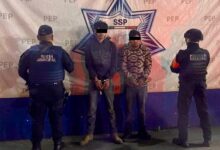 detenidos, SSP, Teziutlán, tala ilegal, troncos de pino